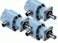 30 Serial Gear Pump ASEA