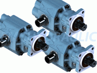 30 Serial Gear Pumps ISO